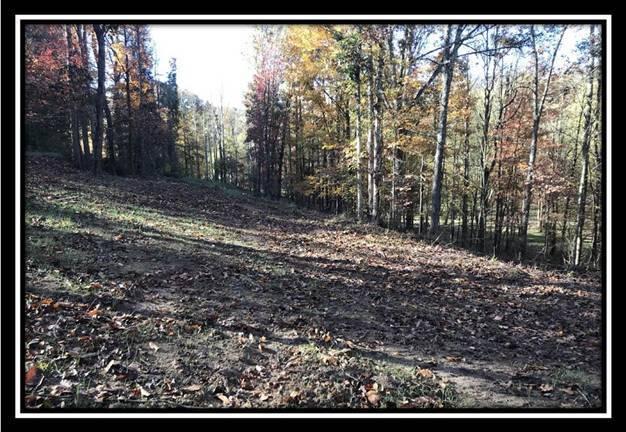 28161 Wheelabout Road McArthur, OH 45651 - Photo 18 of 27