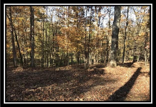 28161 Wheelabout Road McArthur, OH 45651 - Photo 19 of 27