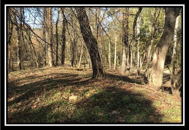 28161 Wheelabout Road McArthur, OH 45651 - Photo 21 of 27