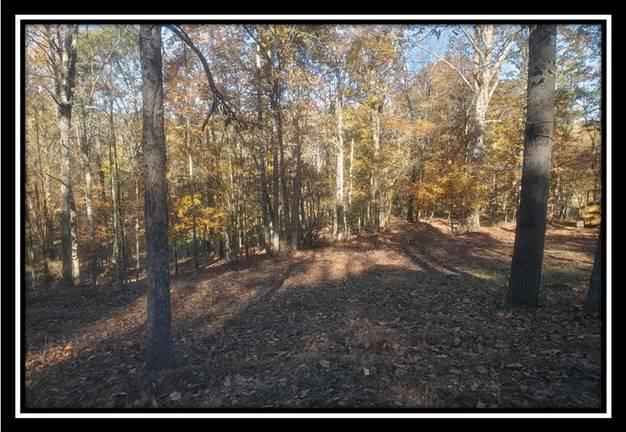 28161 Wheelabout Road McArthur, OH 45651 - Photo 5 of 27
