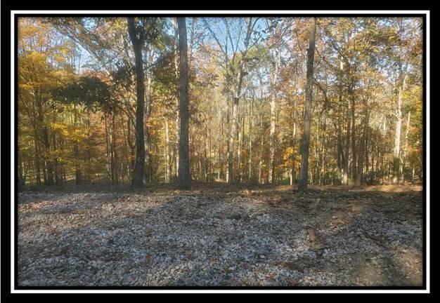 28161 Wheelabout Road McArthur, OH 45651 - Photo 6 of 27