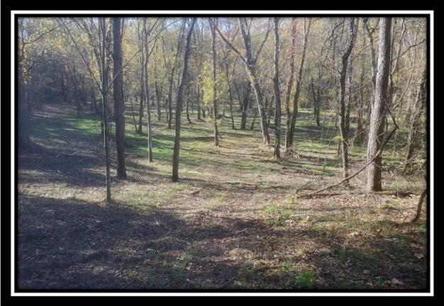 28161 Wheelabout Road McArthur, OH 45651 - Photo 8 of 27