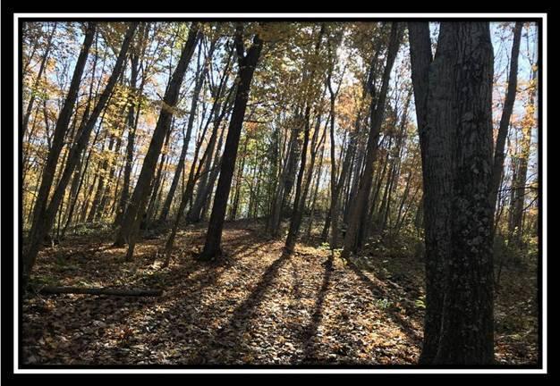 28161 Wheelabout Road McArthur, OH 45651 - Photo 10 of 27