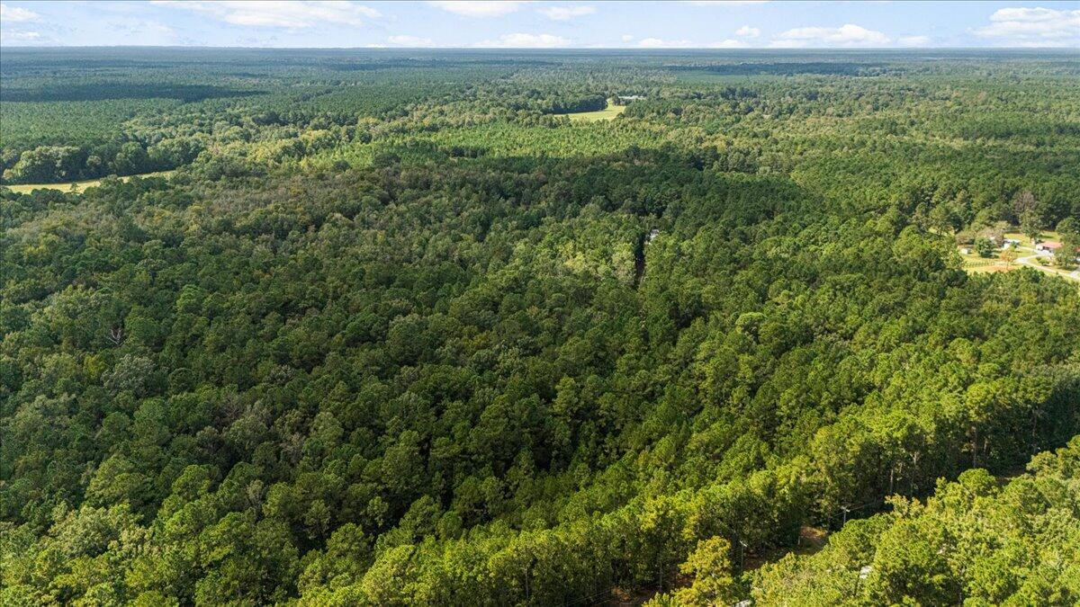 130 Tygerpaw Trail St. Stephen, SC 29479 - Photo 8 of 24 08-DJI_20251002133532_0371_D