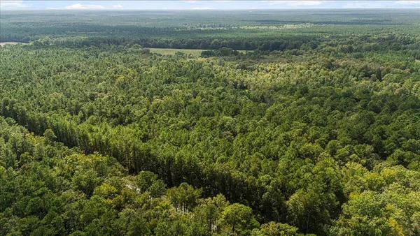 $350,000 | 130 Tygerpaw Trail, St. Stephen, SC 29479