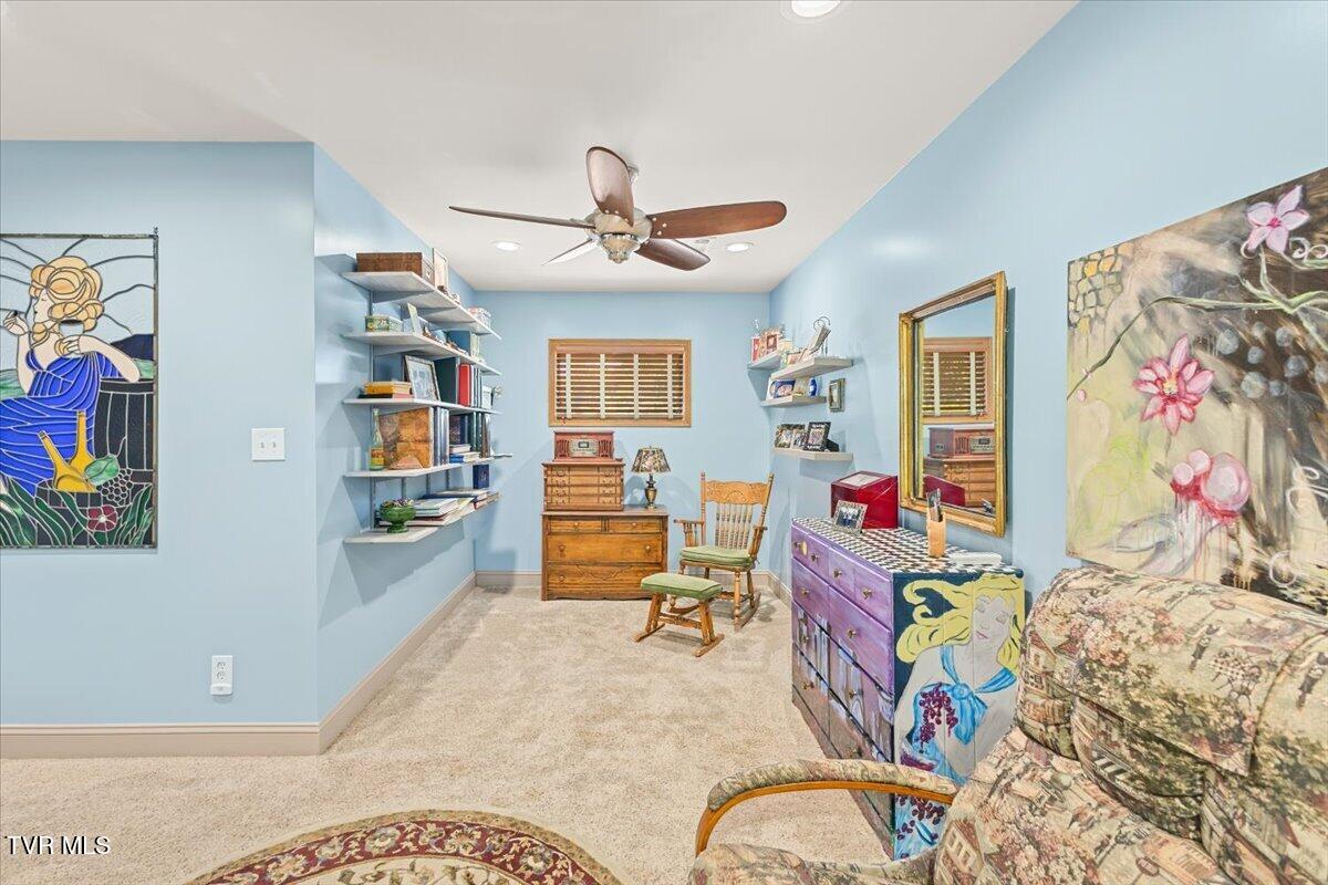 112 Spruce Street Greeneville, TN 37745 - Photo 69 of 102 077-128A8673
