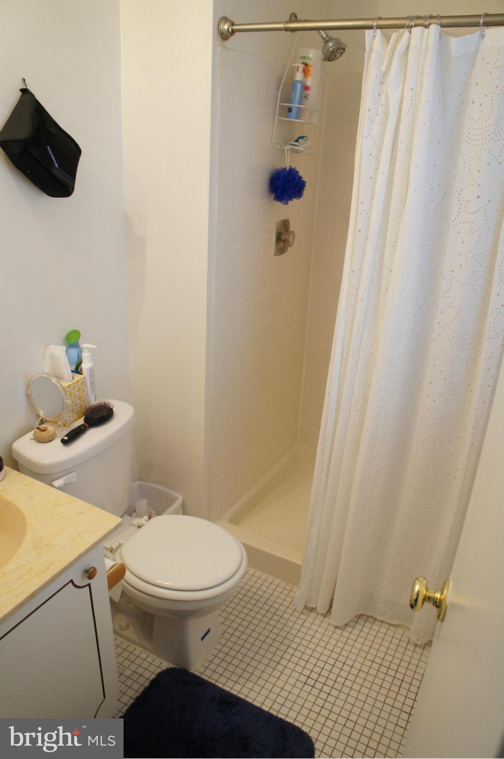 7912 Laural Valley Way Springfield, VA 22153 - Photo 23 of 30 Bath (Master)