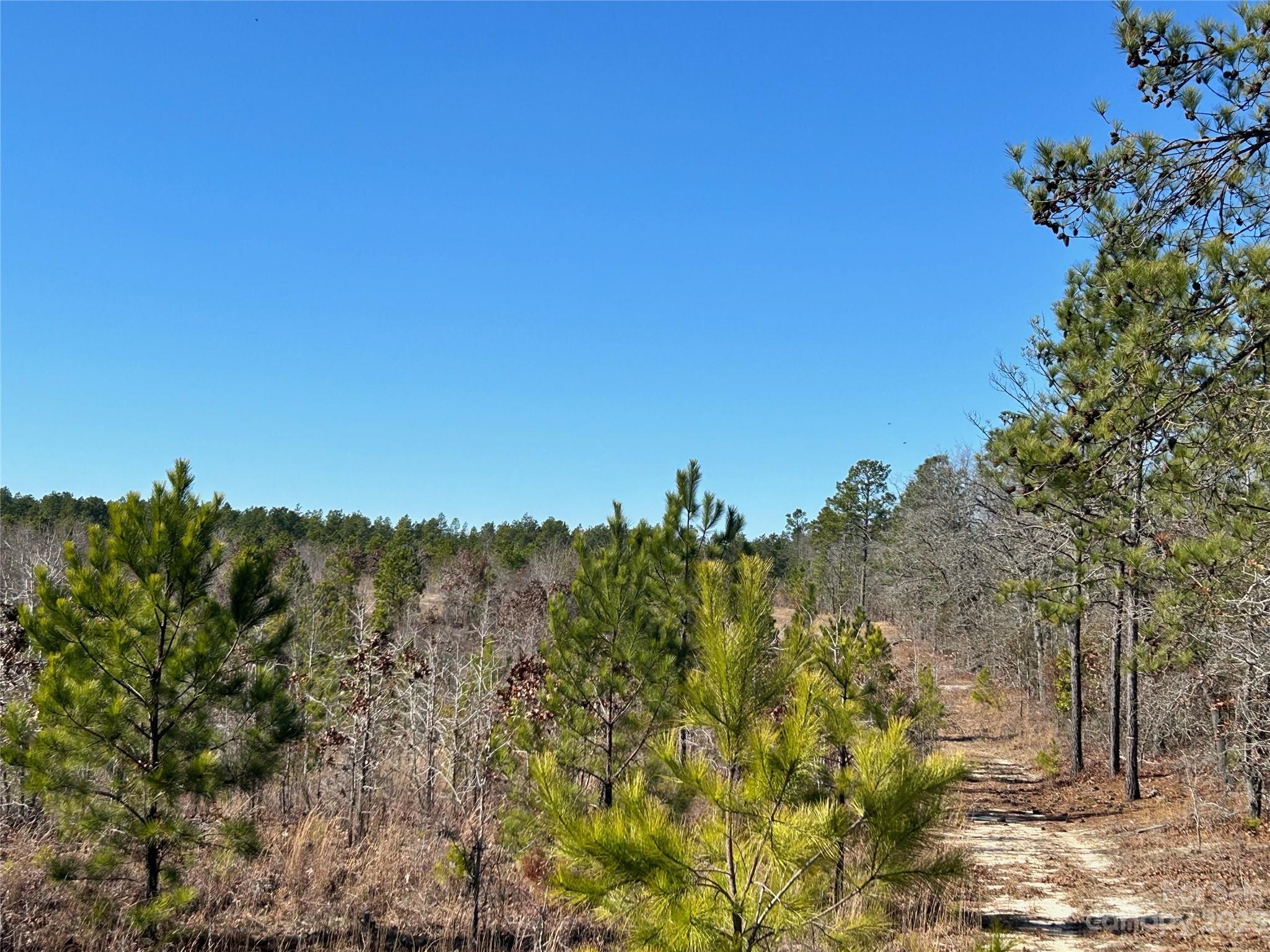 4471 Catawba Road Kershaw, SC 29067 - Photo 2 of 27 Gallery Image 2