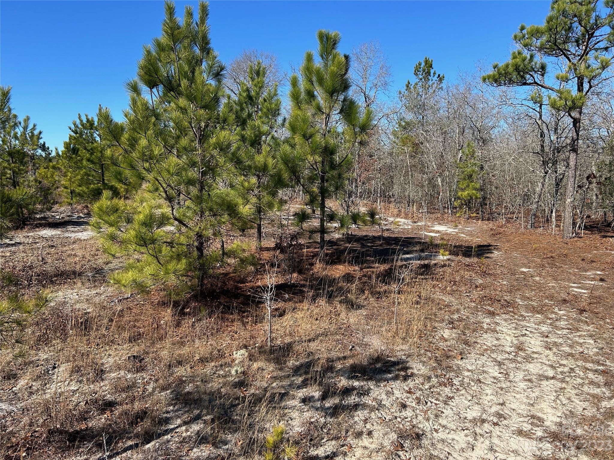 4471 Catawba Road Kershaw, SC 29067 - Photo 8 of 27 Gallery Image 8