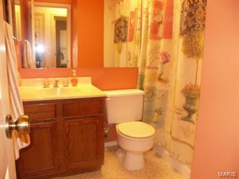538 Rustic Valley Drive Ballwin, MO 63021 - Photo 14 of 26