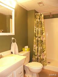 538 Rustic Valley Drive Ballwin, MO 63021 - Photo 18 of 26