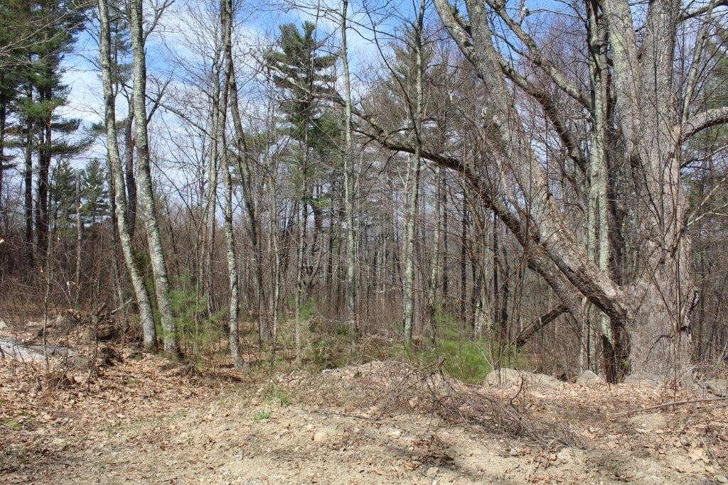 Lot B Sibley Road Barre, MA 01005 - Photo 4 of 7