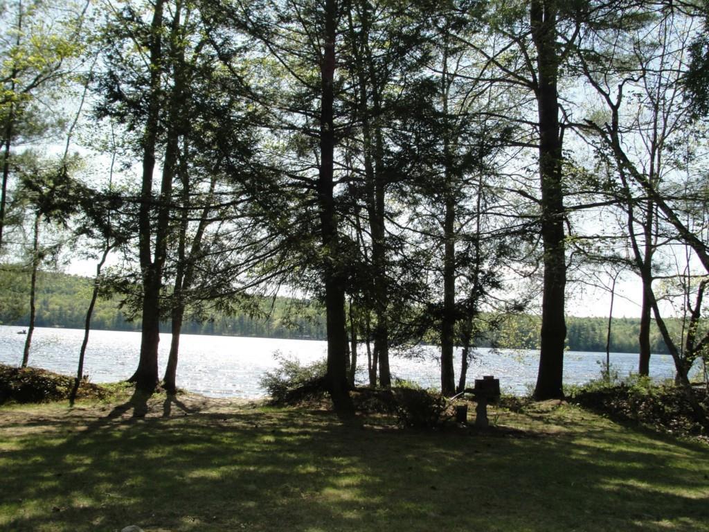 364 Norway Road Harrison, ME 04040 - Photo 7 of 28 Entrance to the waterfront.
