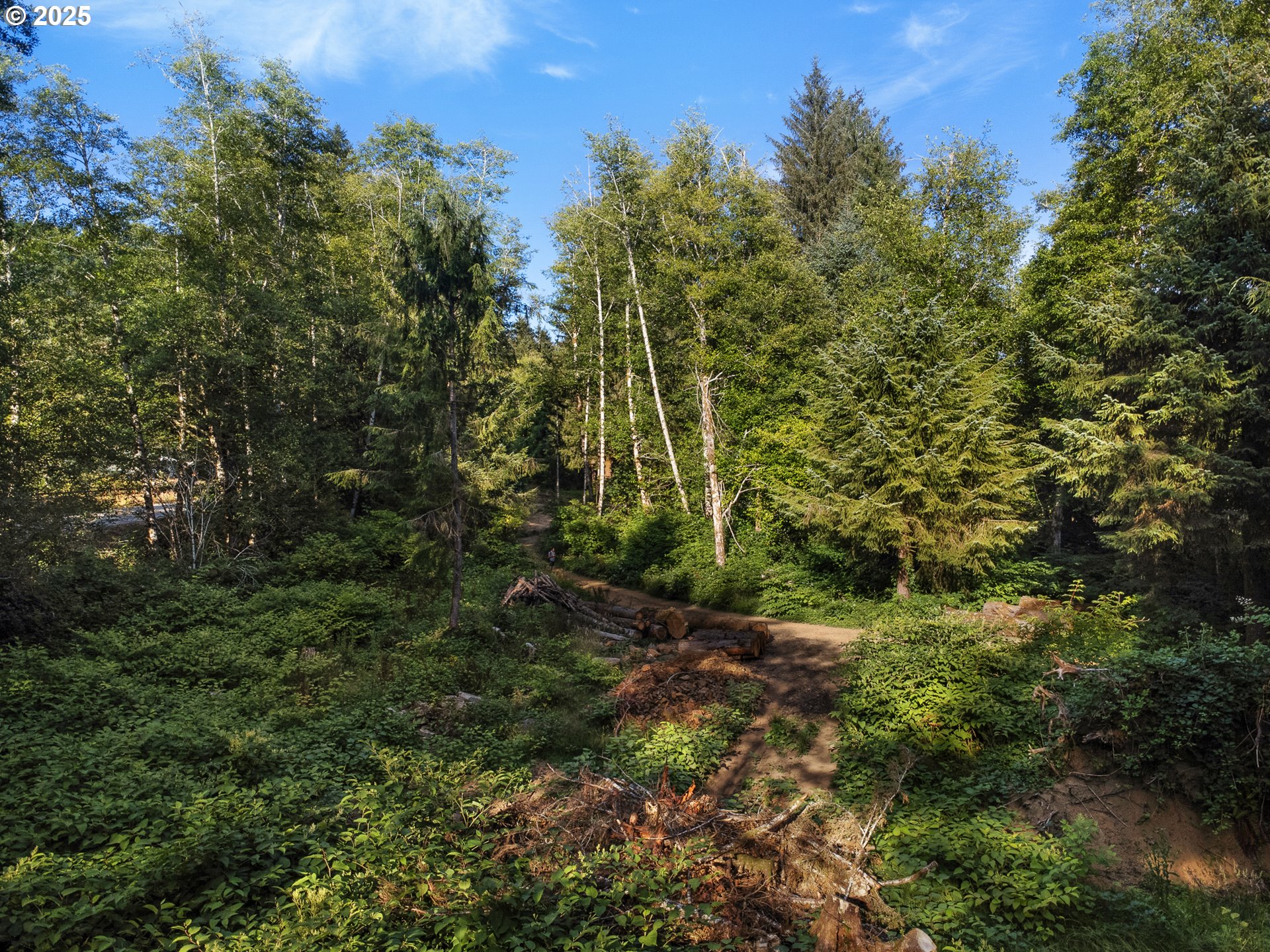 36046 Sunset Highway Seaside, OR 97138 - Photo 22 of 23 a view of a yard