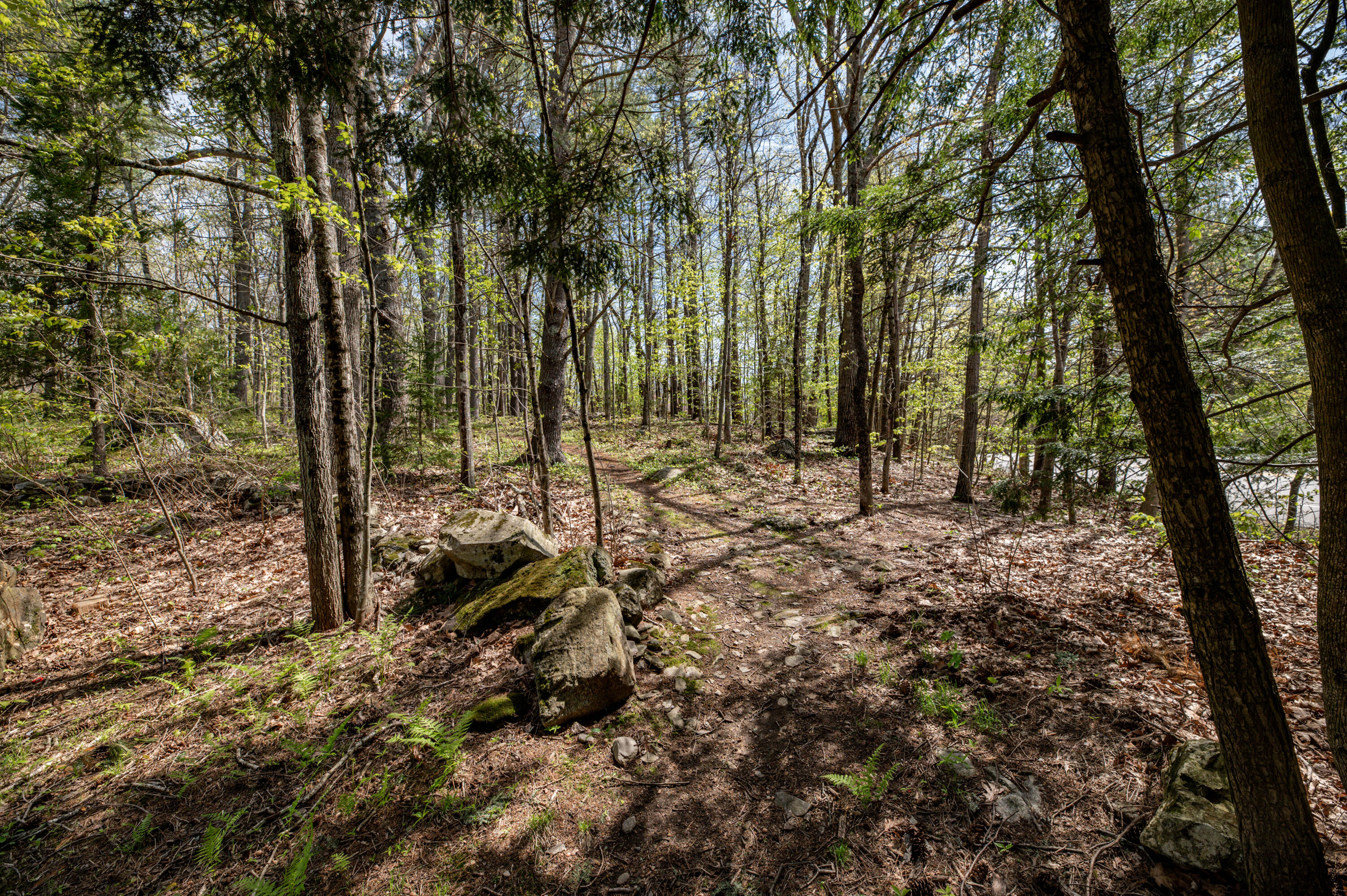 626 Wiscasset Road Pittston, ME 04345 - Photo 62 of 78 Trail around property