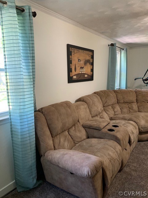 300 Chasnell Road North Chesterfield, VA 23236 - Photo 11 of 25 Family room.