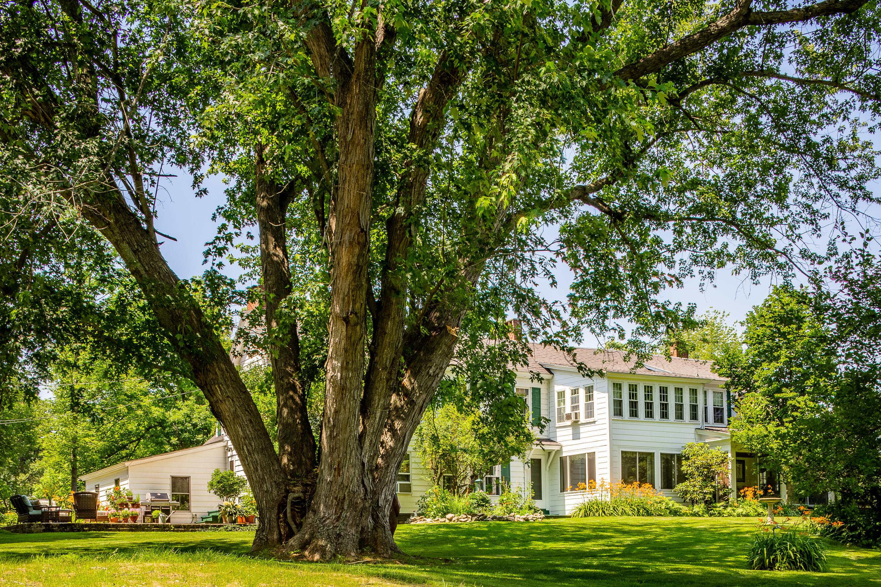 25 Christian Ridge Road South Paris, ME 04281 - Photo 2 of 48 25ChristianRidge_36_S_print