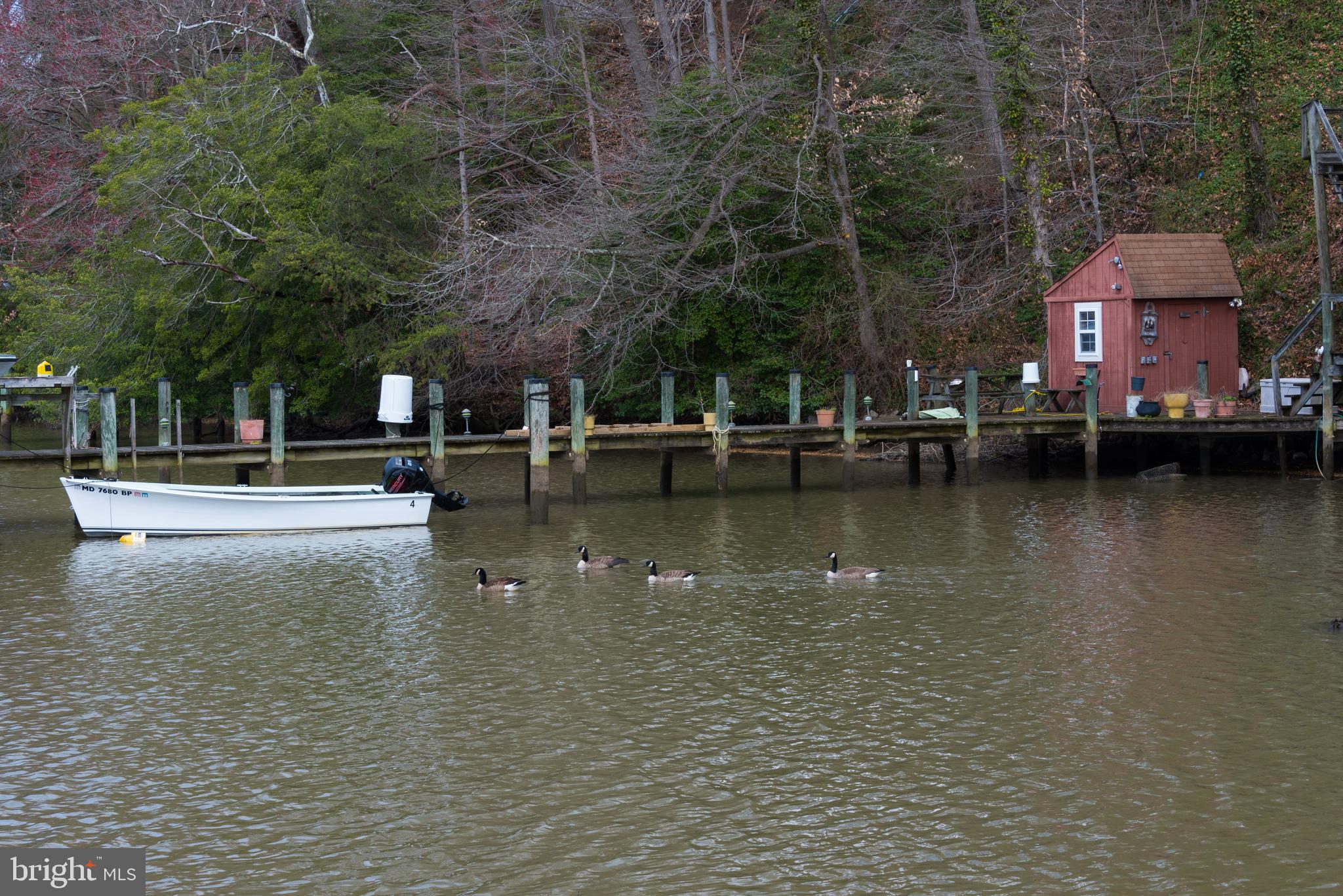 11706 Rivershore Drive Dunkirk, MD 20754 - Photo 63 of 71 a view of a lake with houses