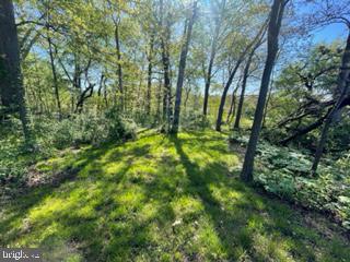 150 Jubilee Road Peach Bottom, PA 17563 - Photo 20 of 27 Gallery Image 20