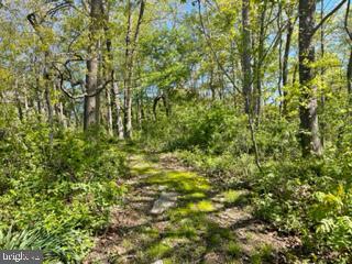 150 Jubilee Road Peach Bottom, PA 17563 - Photo 21 of 27 Gallery Image 21