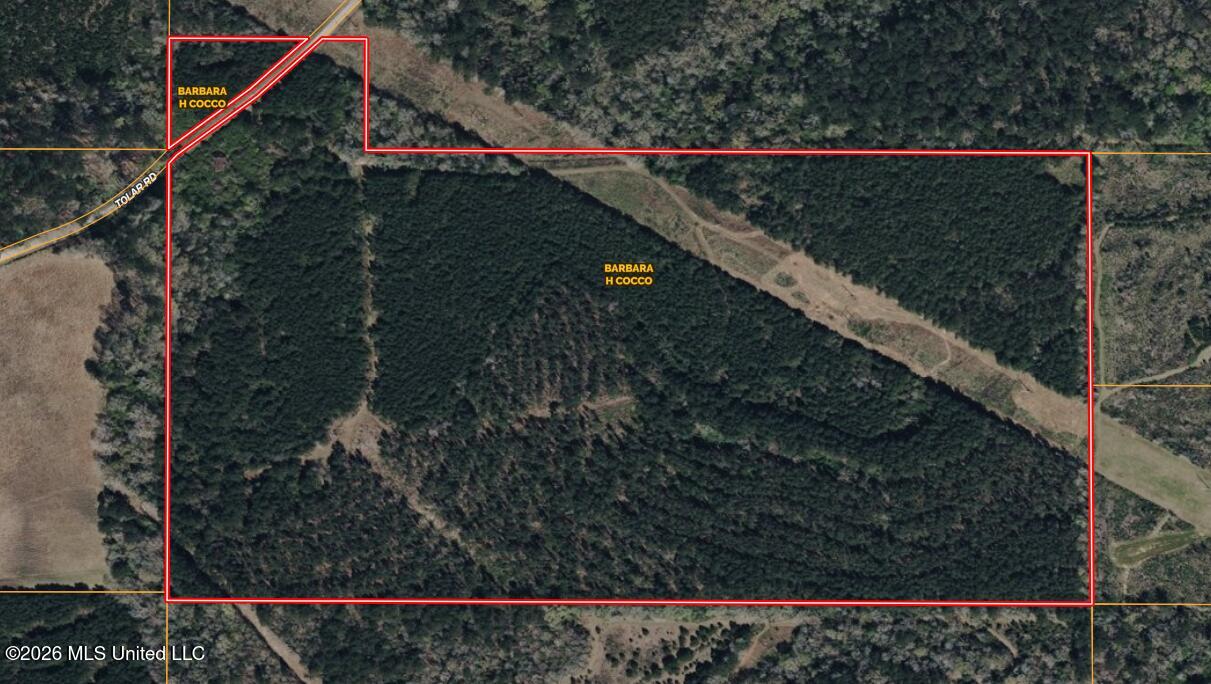 1178 Tolar Road Columbia, MS 39429 - Photo 12 of 14 map 1