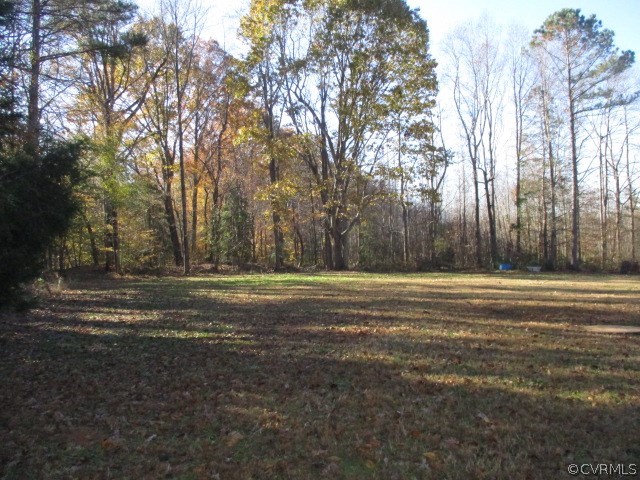 12205 Browns Road Church Road, VA 23833 - Photo 4 of 36
