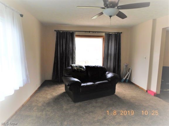 442 South Ridge Road East Geneva, OH 44041 - Photo 18 of 34 Gallery Image 18