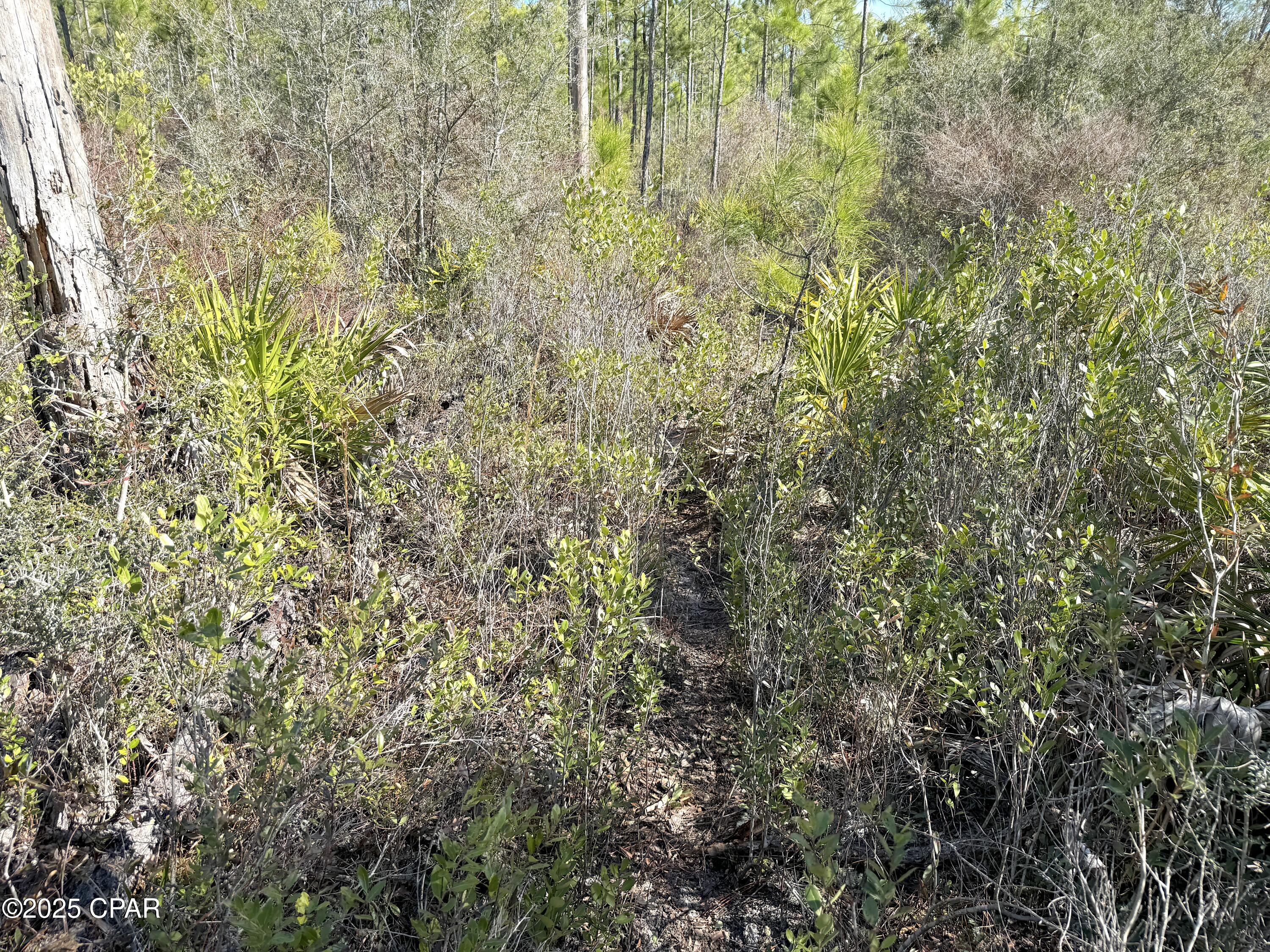 6157 Martin Sewell Road Altha, FL 32421 - Photo 33 of 37 Gallery Image 33