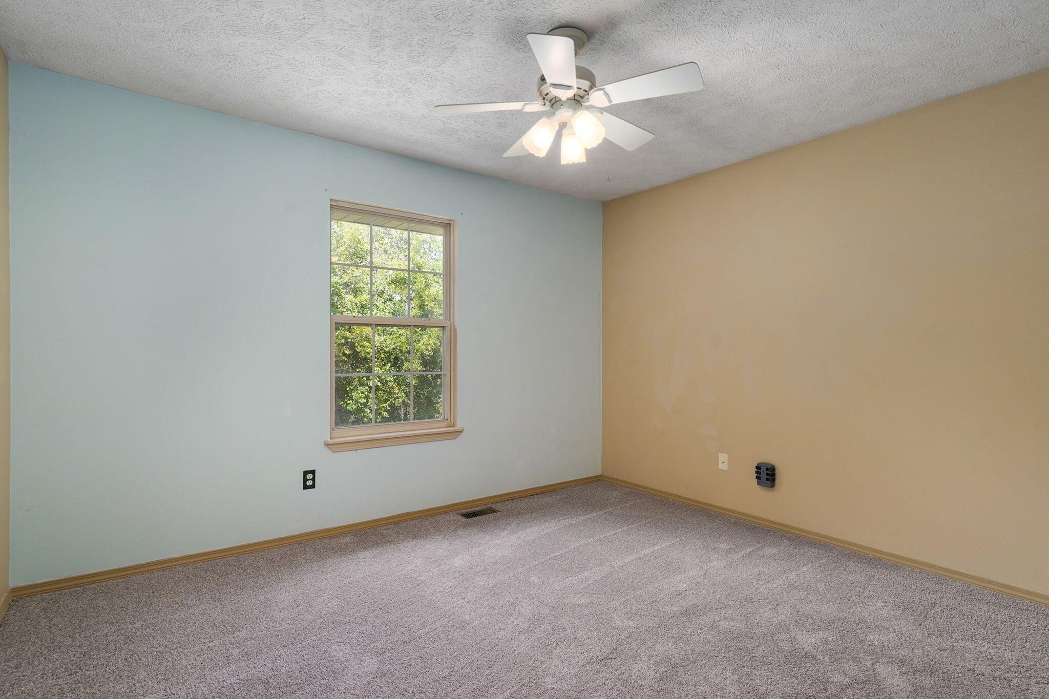 394 Jace Road Billings, MO 65610 - Photo 16 of 34 394 Jace Rd-17