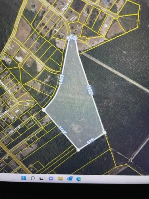 70 Ellis Loop Kingstree, SC 29556 - Photo 4 of 4