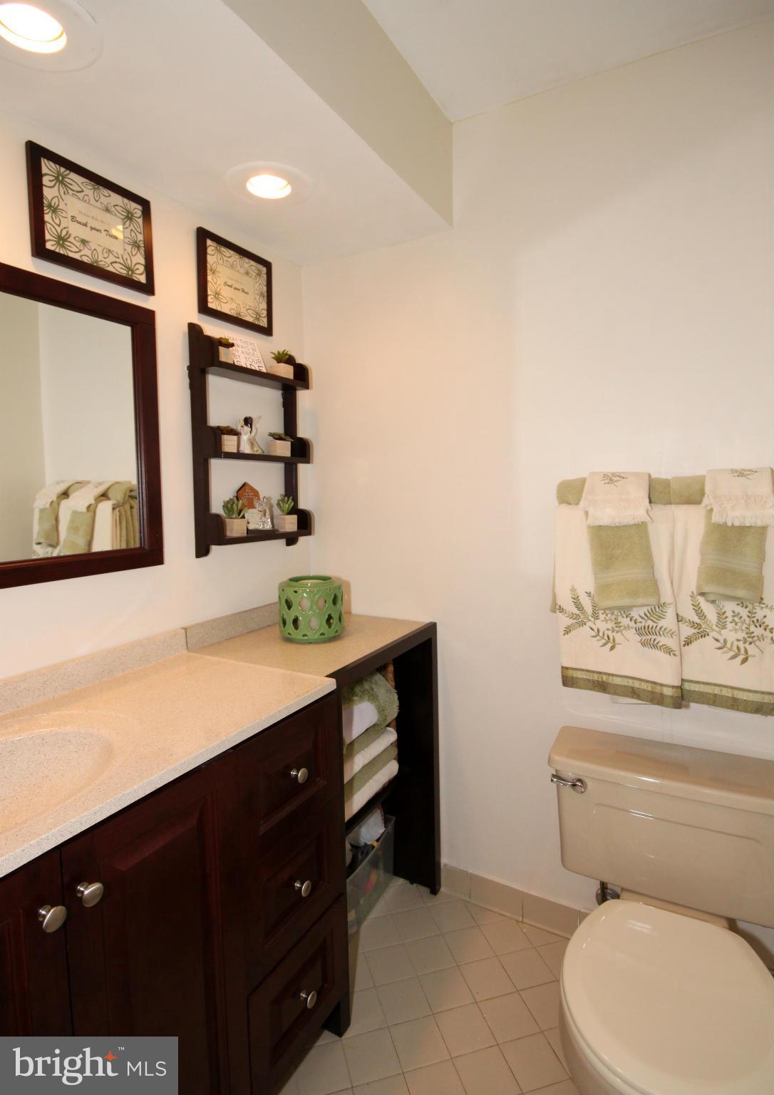 10014 Marshall Pond Road Burke, VA 22015 - Photo 16 of 29 Bath (Master)