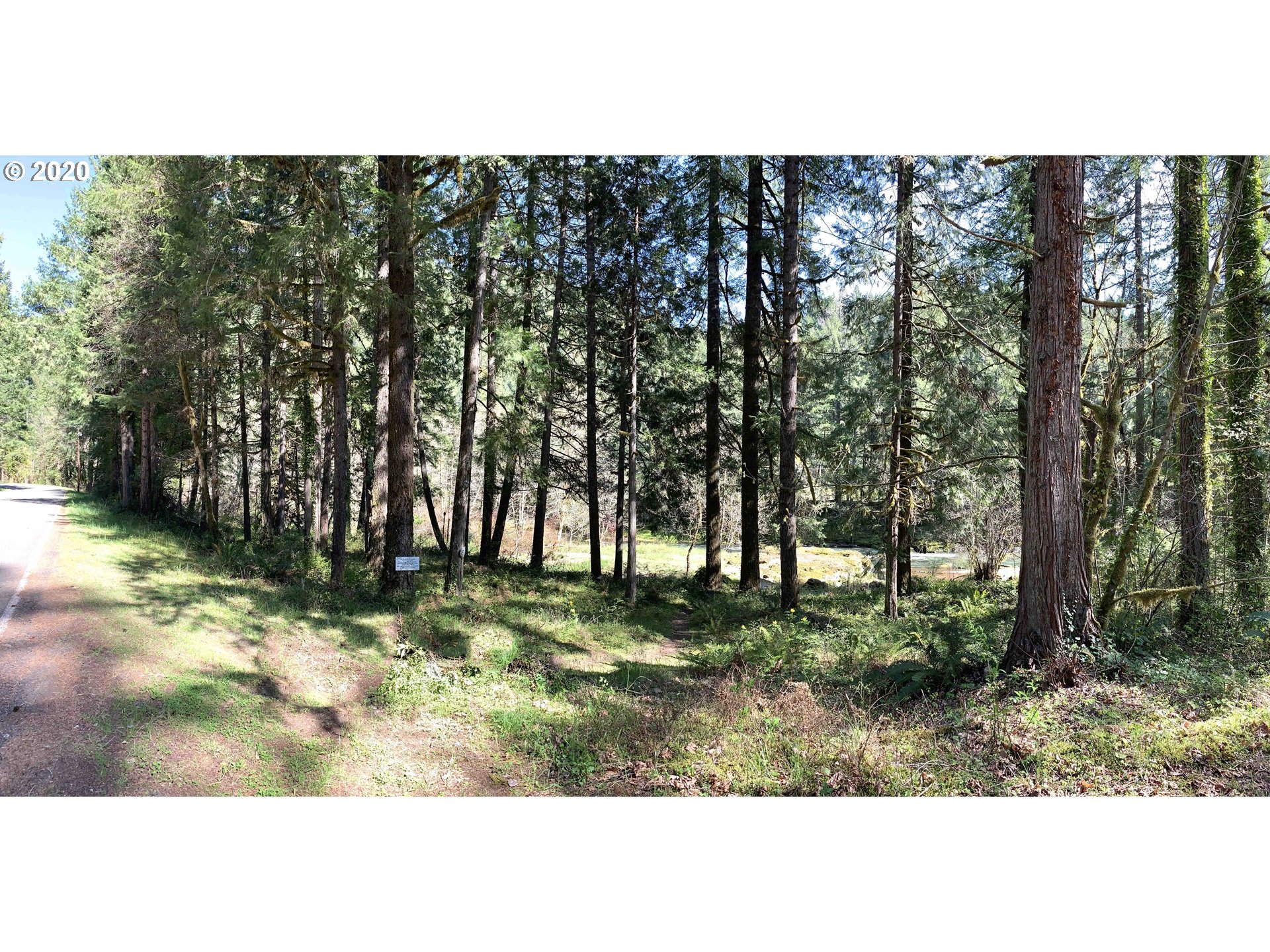 Blue River Road, Unit 209 Blue River, OR 97413 - Photo 3 of 10 Gallery Image 3
