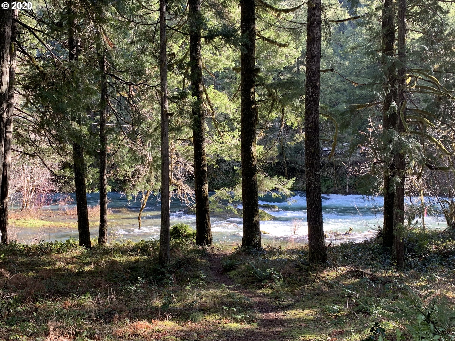 Blue River Road, Unit 209 Blue River, OR 97413 - Photo 4 of 10 Gallery Image 4