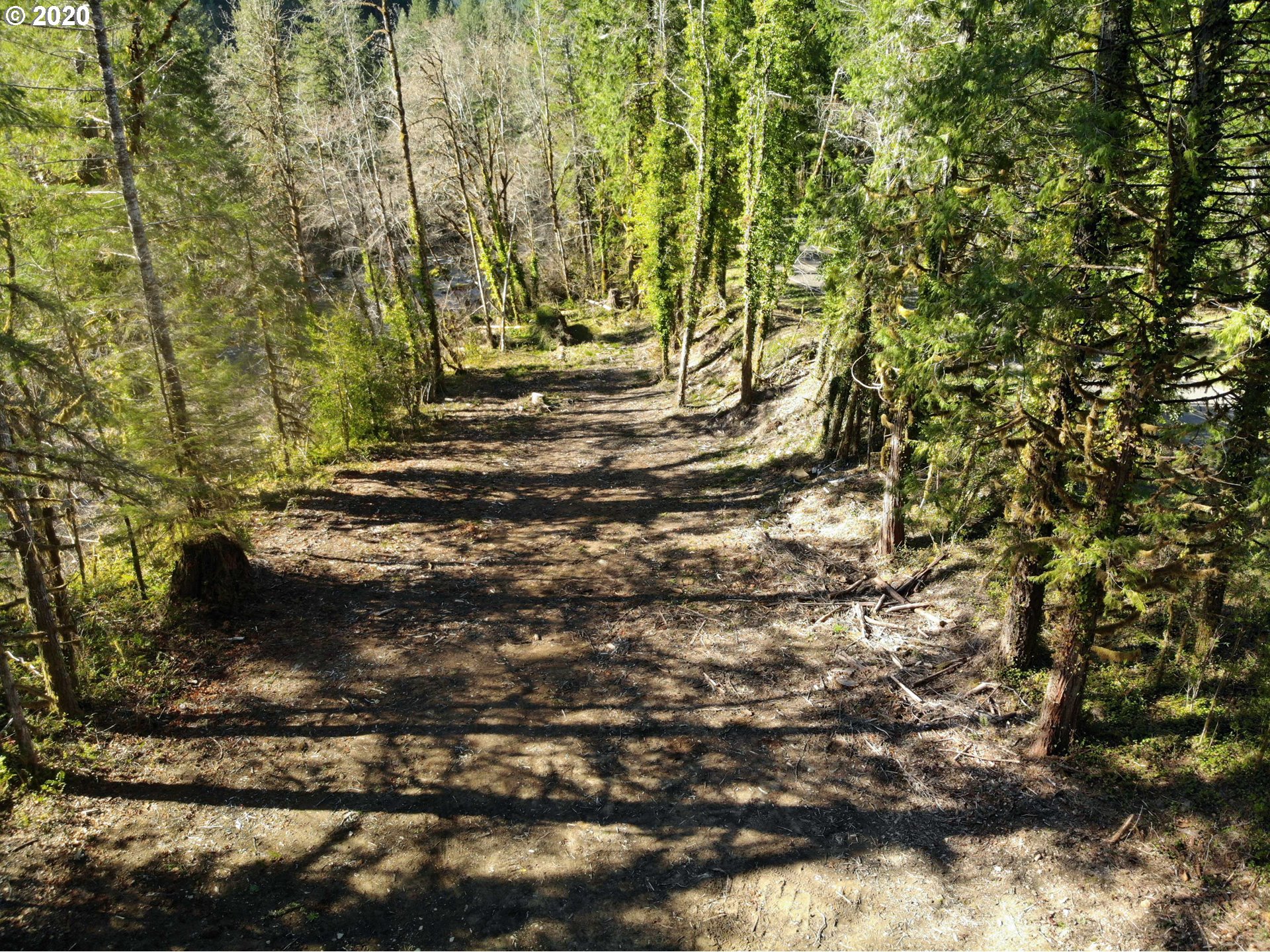 Blue River Road, Unit 209 Blue River, OR 97413 - Photo 9 of 10 Gallery Image 9