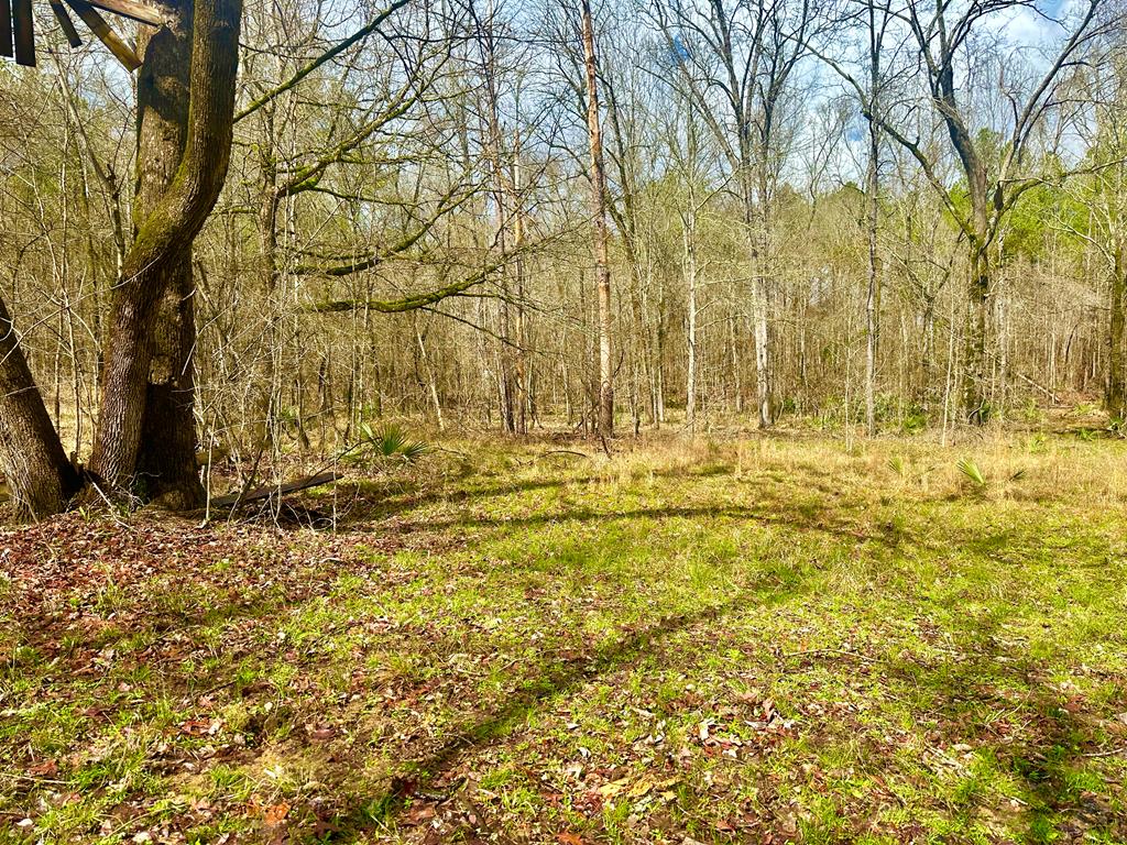 0 John Allen Carter Road Talbotton, GA 31827 - Photo 18 of 18 Gallery Image 18