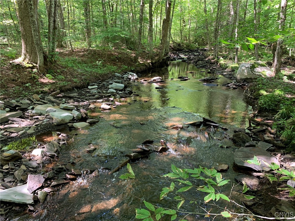 11565 Ernst Road Ava, NY 13303 - Photo 11 of 50 Lyman Brook
