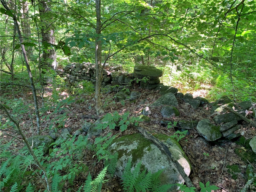 11565 Ernst Road Ava, NY 13303 - Photo 13 of 50 Boundary Stone Wall