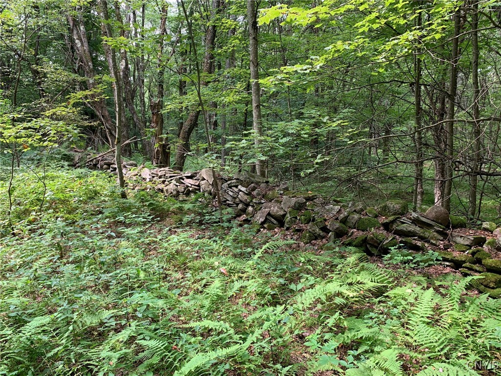 11565 Ernst Road Ava, NY 13303 - Photo 17 of 50 Interior Stone Wall