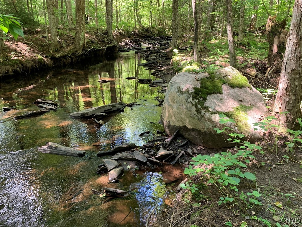 11565 Ernst Road Ava, NY 13303 - Photo 19 of 50 Lyman Brook