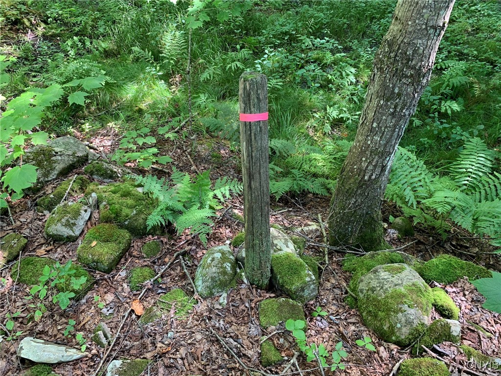 11565 Ernst Road Ava, NY 13303 - Photo 20 of 50 Cedar Boundary Fence Post
