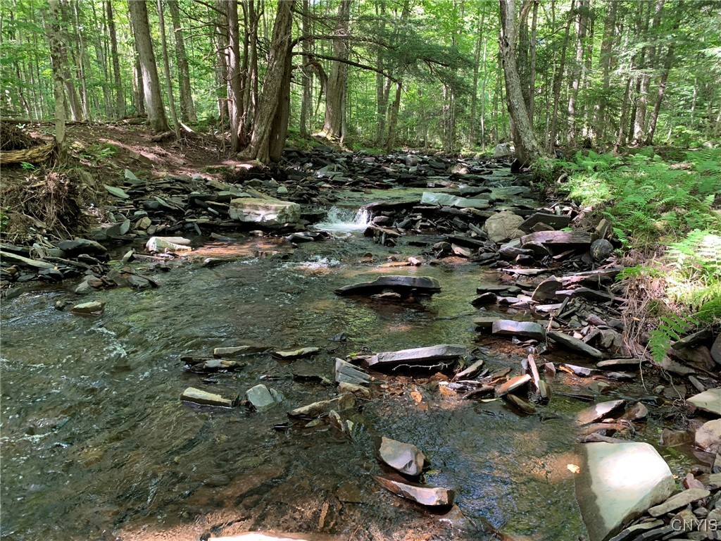 11565 Ernst Road Ava, NY 13303 - Photo 2 of 50 Lyman Brook