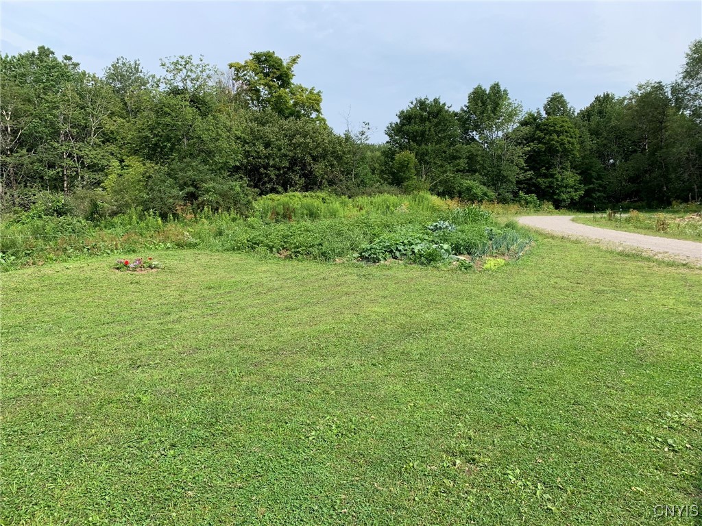 11565 Ernst Road Ava, NY 13303 - Photo 4 of 50 Back Yard & Garden