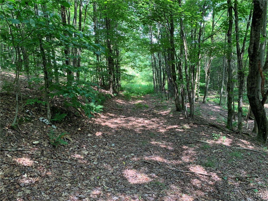 11565 Ernst Road Ava, NY 13303 - Photo 44 of 50 Old Road Headed North