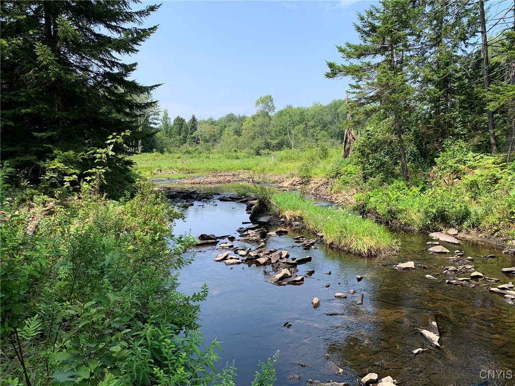 11565 Ernst Road Ava, NY 13303 - Photo 45 of 50 Lyman Brook Meadow
