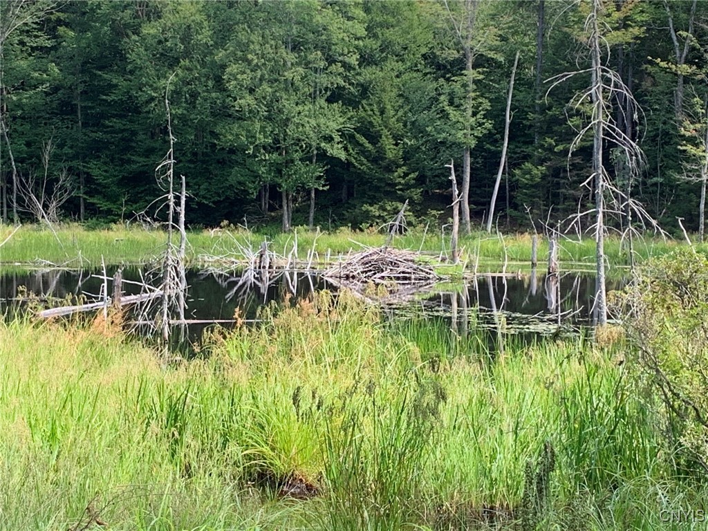 11565 Ernst Road Ava, NY 13303 - Photo 46 of 50 Beaver Lodge