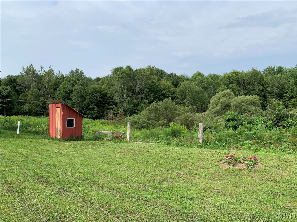 11565 Ernst Road Ava, NY 13303 - Photo 6 of 50 Side Yard, Pasture & Privy