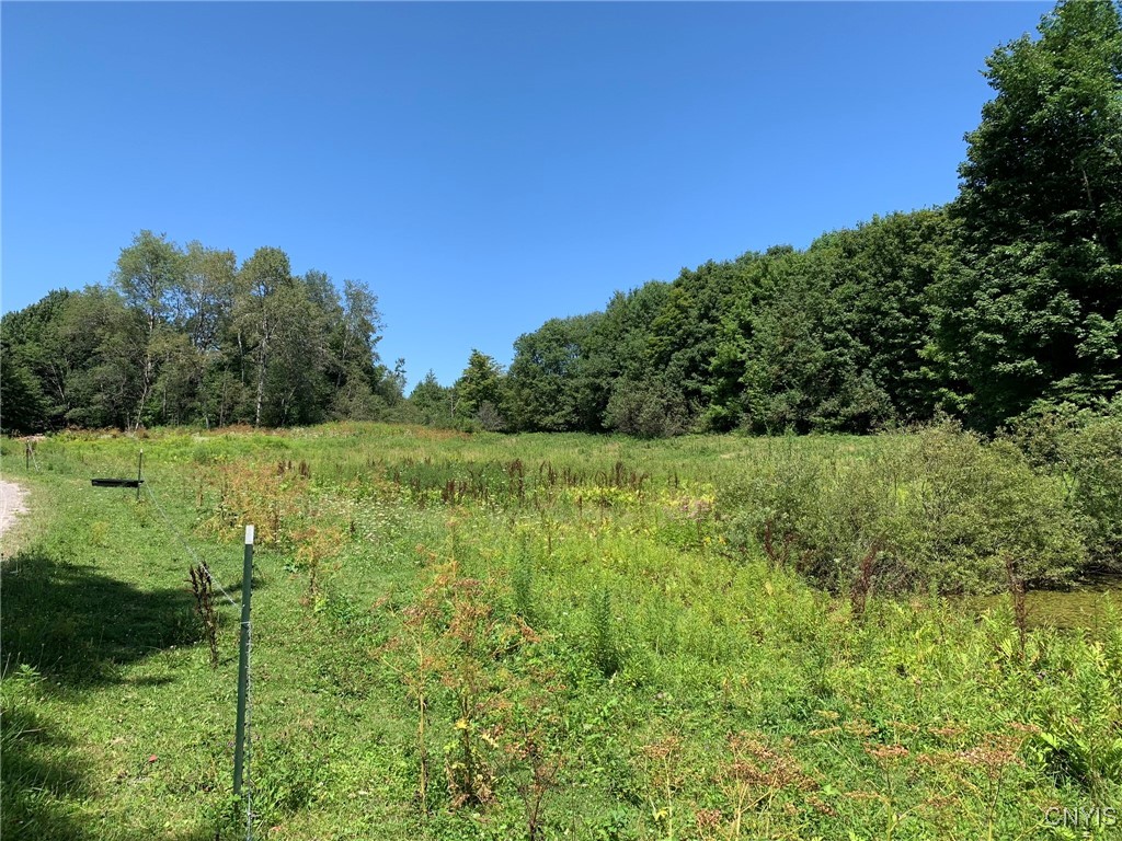 11565 Ernst Road Ava, NY 13303 - Photo 9 of 50 Pasture Near Pond