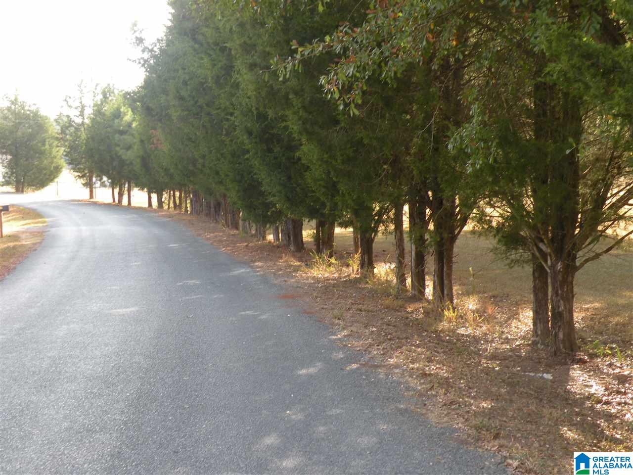 390 Five Oaks Lane Alpine, AL 35014 - Photo 27 of 29