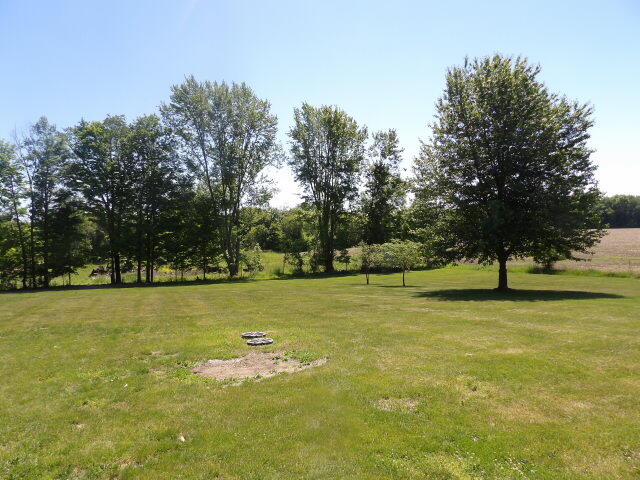 797 North Snow Prairie Road Union City, MI 49094 - Photo 27 of 31