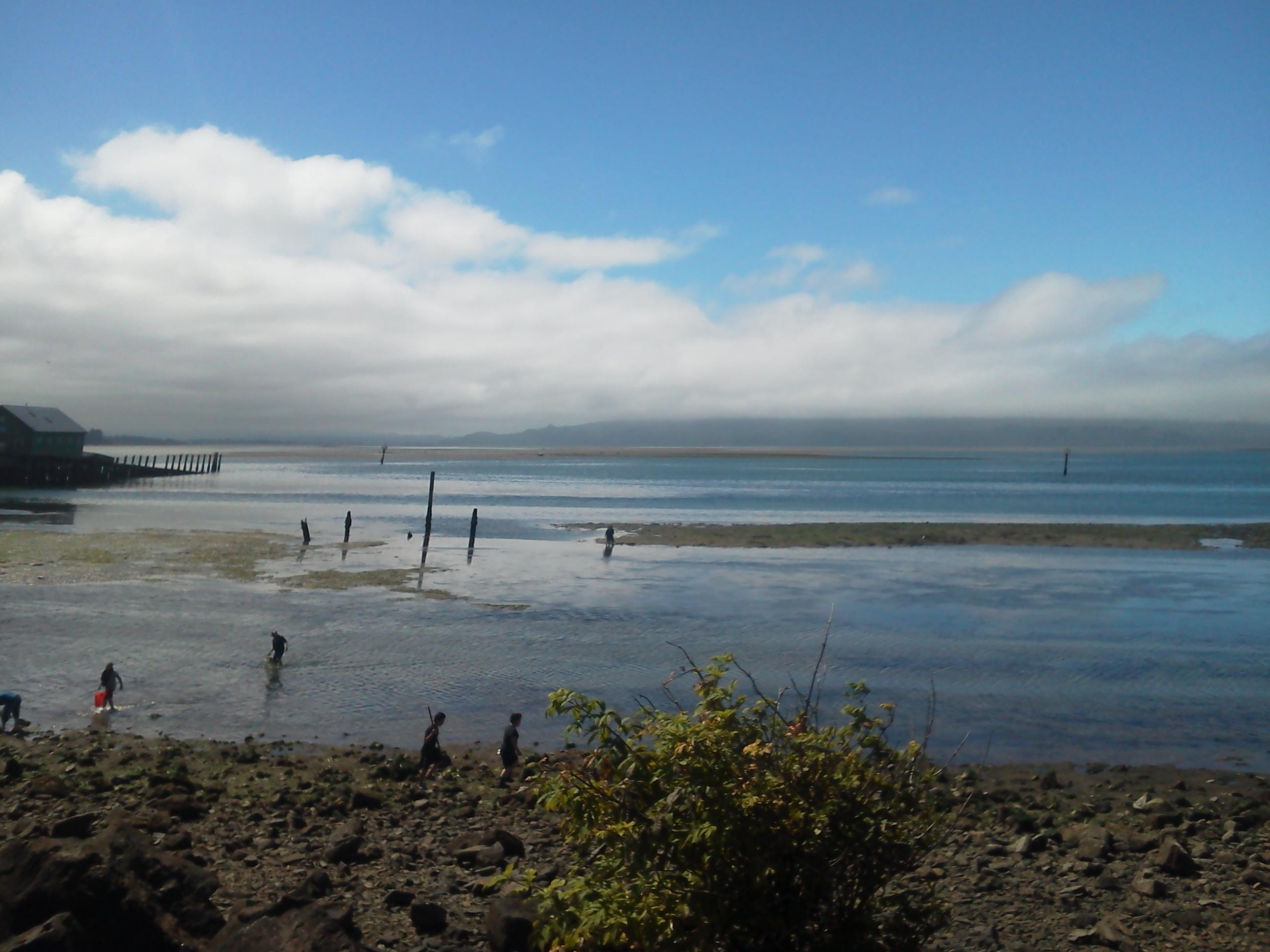 Bay Lane Garibaldi, OR 97118 - Photo 1 of 2 bay frnt lot 2